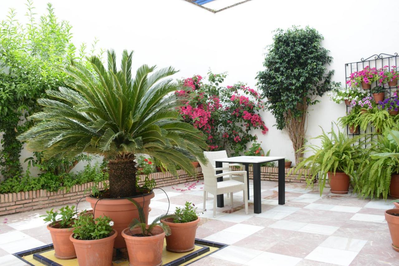 דירות קורדובה Purisima Vivienda Turistica מראה חיצוני תמונה